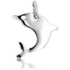 Fehér arany delfin medál